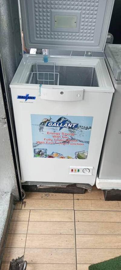 Gallant chest freezer — freezer held by LAMM Investment Company.